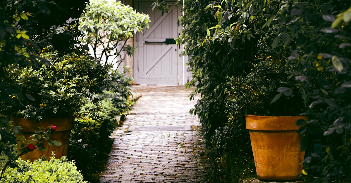 Cobblestone Courtyard Lighting and Landscaping