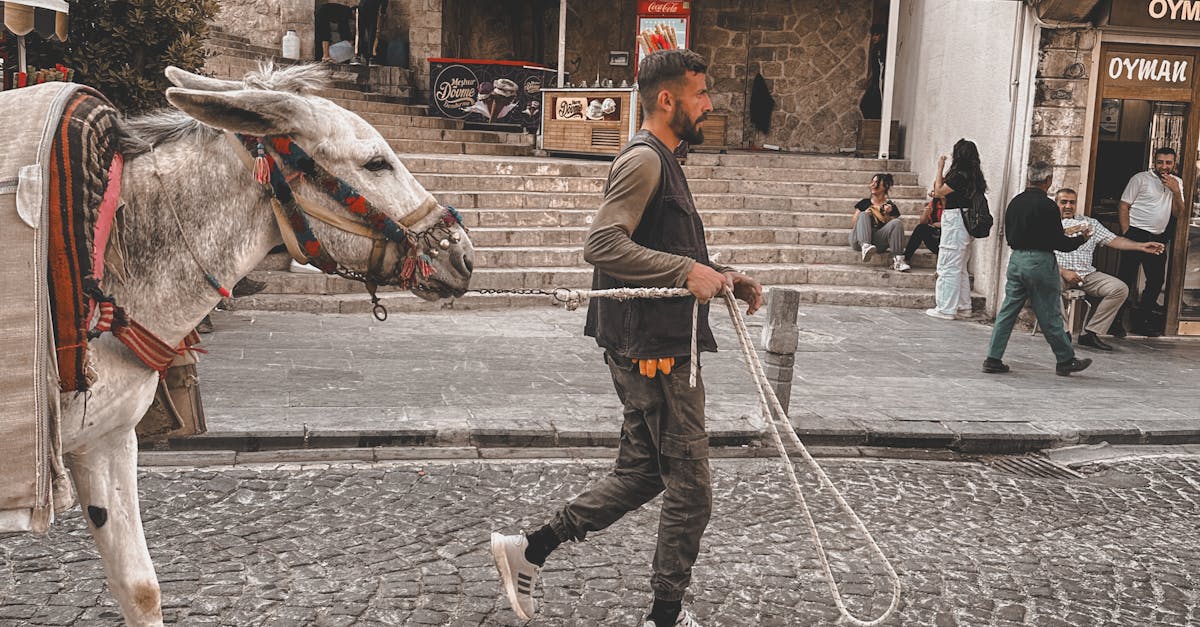 The Historical Significance of Cobblestone in Street and Road Surfacing